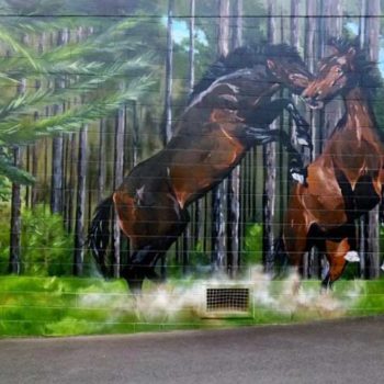 Maryborough Mural